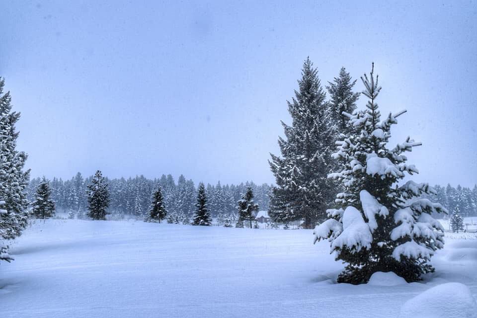 Montana snow photos from readers